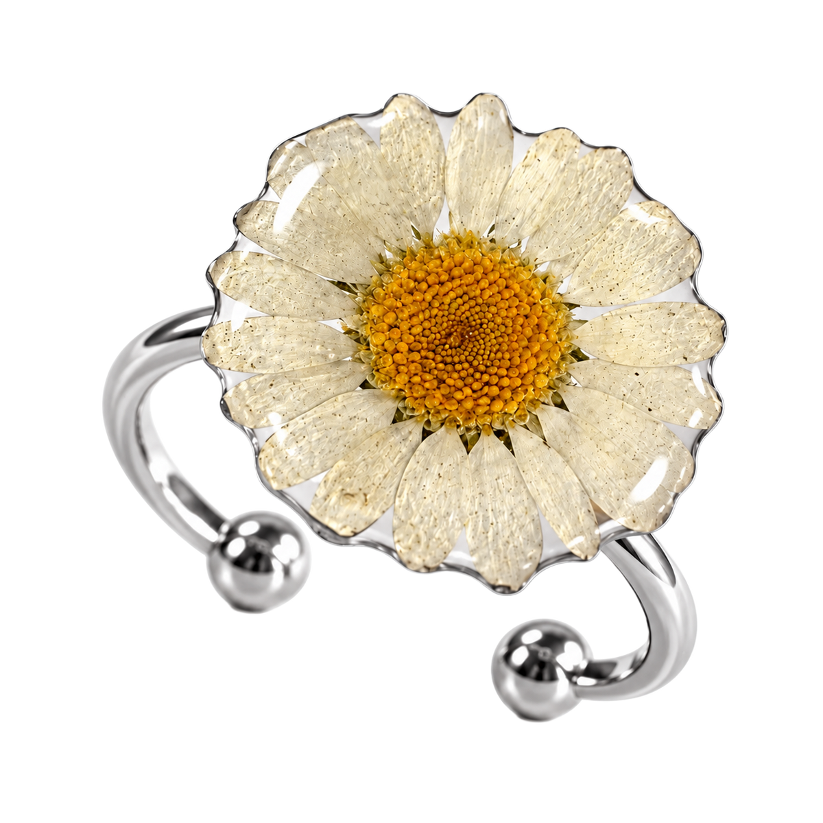 Margarita Blanca